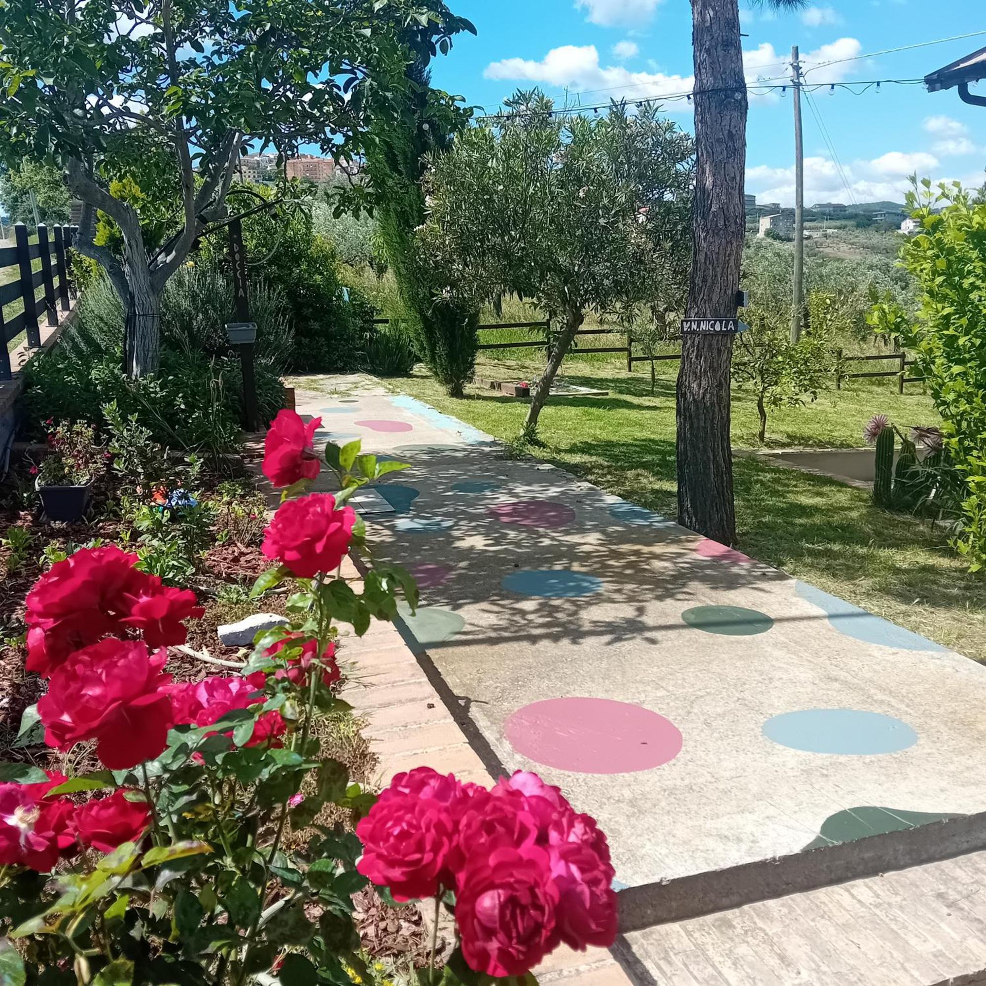 Villa Nonno Nicola Montenero di Bisaccia Kültér fotó